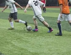 股齐跌,联合跌幅,成交额达,1xbet官网,1xbet体育官方网站,1xbet官网入口,1xbet体育官网