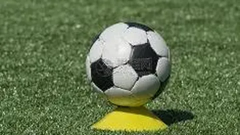 萧亚轩公开被狗咬伤后正面照，疤痕不再明显