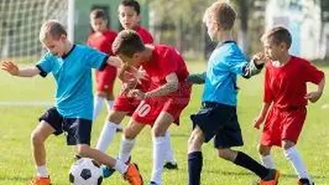 1xbet官网 资讯 114352 d9z