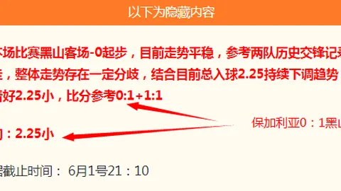 2026赛季战绩亮眼1xbet官网App：近13战11胜，深度解析胜负奥秘